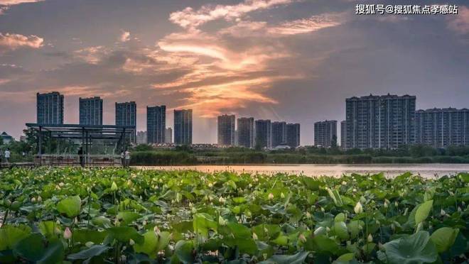 】-留香园2025最新房价＋户型图＋曝光PG电子麻将胡了模拟器绿城·留香园【网站(图12)